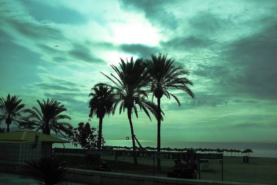 Málaga oder Valencia: Stadt und Strand im Vergleich