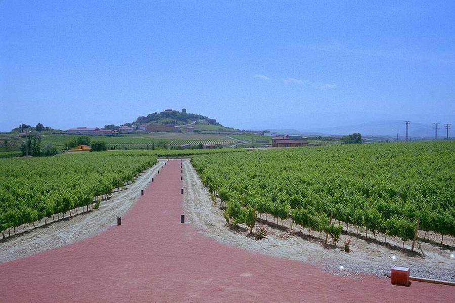 Die Weinregionen Spaniens im Überblick